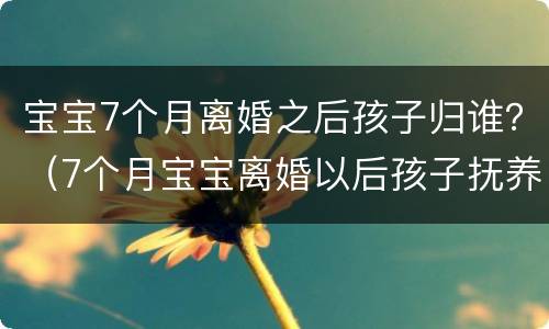 宝宝7个月离婚之后孩子归谁？（7个月宝宝离婚以后孩子抚养权归谁）