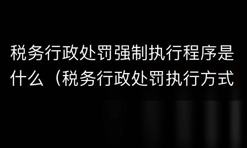 税务行政处罚强制执行程序是什么（税务行政处罚执行方式）