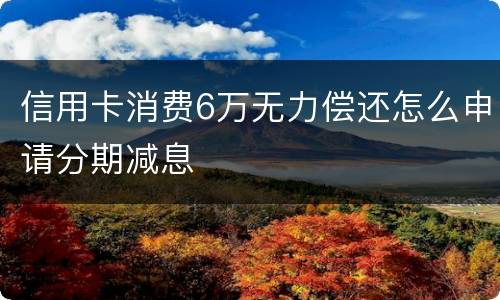 信用卡消费6万无力偿还怎么申请分期减息