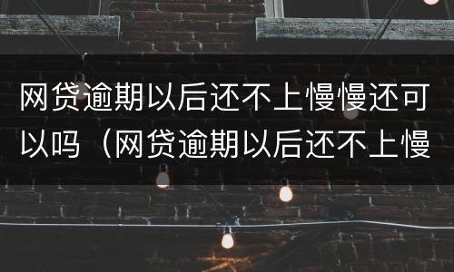 网贷逾期以后还不上慢慢还可以吗（网贷逾期以后还不上慢慢还可以吗）