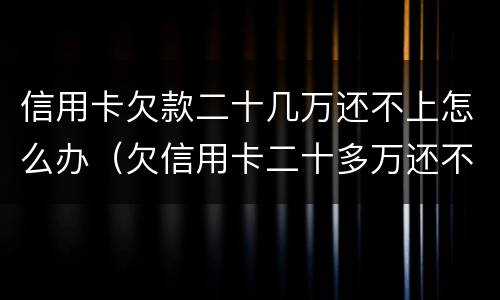 信用卡欠款二十几万还不上怎么办（欠信用卡二十多万还不上怎么办）