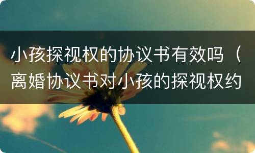 小孩探视权的协议书有效吗（离婚协议书对小孩的探视权约定）