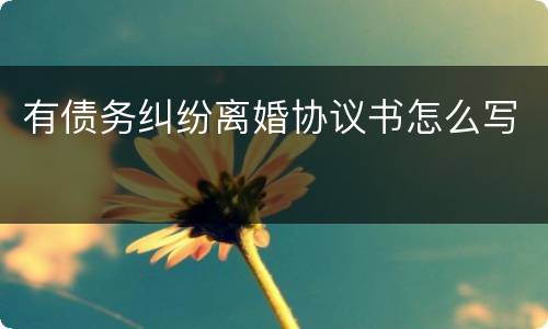 有债务纠纷离婚协议书怎么写