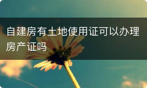 自建房有土地使用证可以办理房产证吗