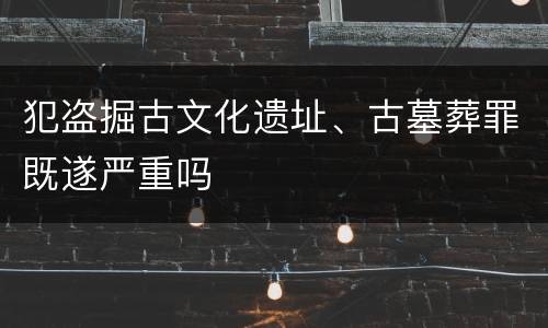 犯盗掘古文化遗址、古墓葬罪既遂严重吗