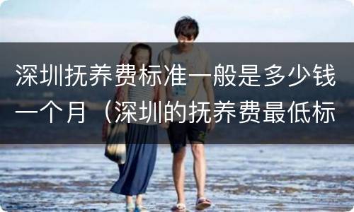 深圳抚养费标准一般是多少钱一个月（深圳的抚养费最低标准）