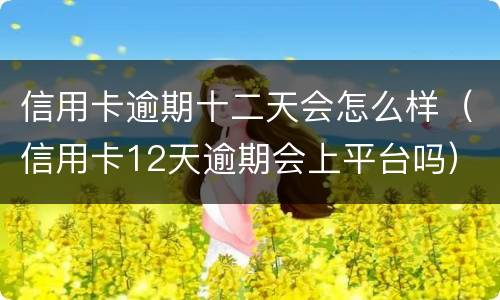 信用卡逾期十二天会怎么样（信用卡12天逾期会上平台吗）
