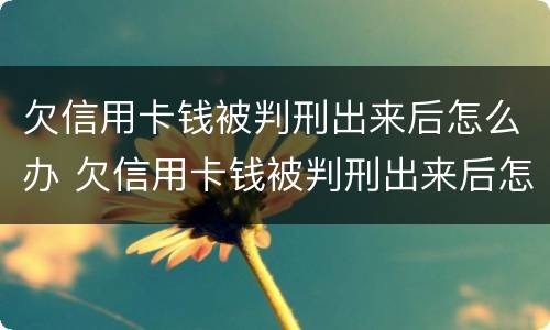欠信用卡钱被判刑出来后怎么办 欠信用卡钱被判刑出来后怎么办理