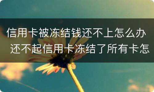 信用卡被冻结钱还不上怎么办 还不起信用卡冻结了所有卡怎么办