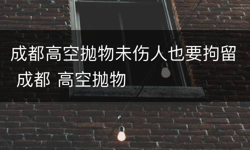 成都高空抛物未伤人也要拘留 成都 高空抛物