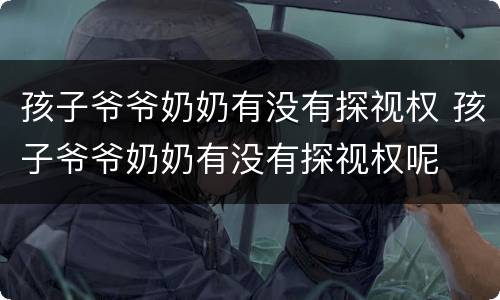 孩子爷爷奶奶有没有探视权 孩子爷爷奶奶有没有探视权呢