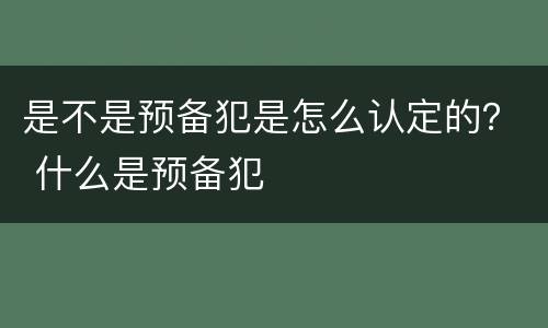 是不是预备犯是怎么认定的？ 什么是预备犯