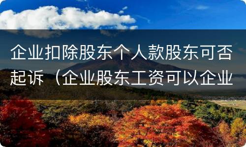 企业扣除股东个人款股东可否起诉（企业股东工资可以企业所得税扣除）