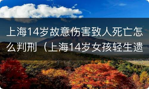 上海14岁故意伤害致人死亡怎么判刑（上海14岁女孩轻生遗书曝光）