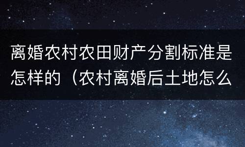 离婚农村农田财产分割标准是怎样的（农村离婚后土地怎么分配）