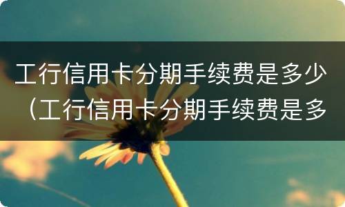 工行信用卡分期手续费是多少（工行信用卡分期手续费是多少啊）
