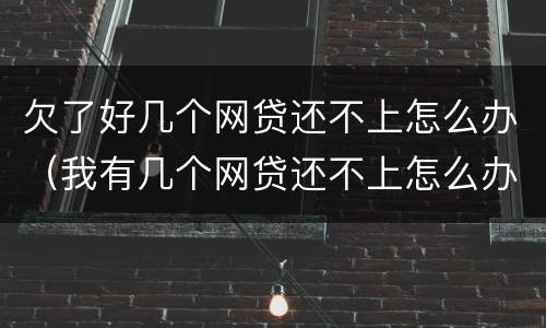 欠了好几个网贷还不上怎么办（我有几个网贷还不上怎么办）