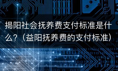 揭阳社会抚养费支付标准是什么?（益阳抚养费的支付标准）