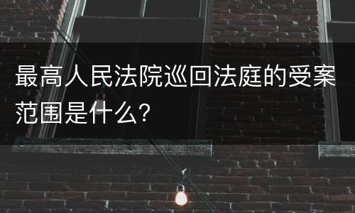 最高人民法院巡回法庭的受案范围是什么？
