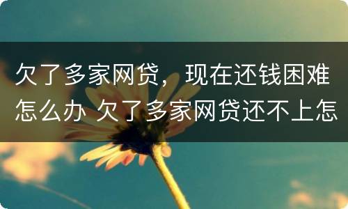 欠了多家网贷，现在还钱困难怎么办 欠了多家网贷还不上怎么办