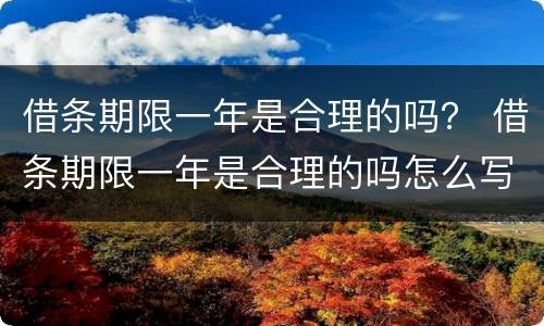 借条期限一年是合理的吗？ 借条期限一年是合理的吗怎么写