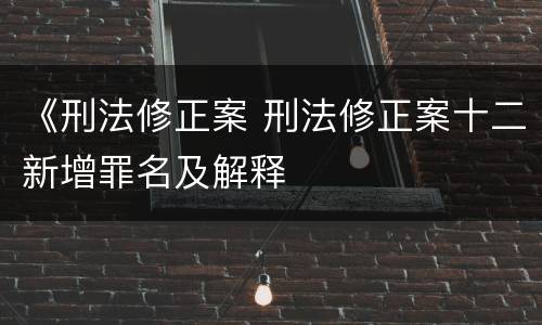 《刑法修正案 刑法修正案十二新增罪名及解释