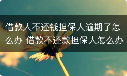 借款人不还钱担保人逾期了怎么办 借款不还款担保人怎么办