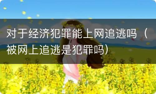 对于经济犯罪能上网追逃吗（被网上追逃是犯罪吗）