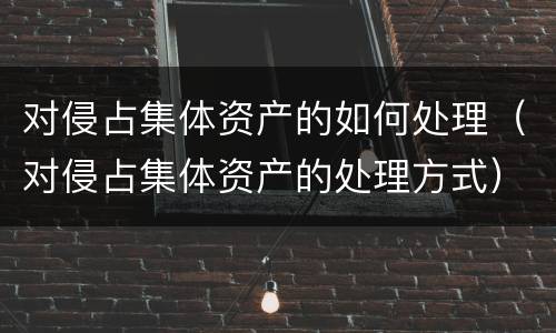 对侵占集体资产的如何处理（对侵占集体资产的处理方式）