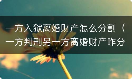 一方入狱离婚财产怎么分割（一方判刑另一方离婚财产咋分）