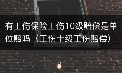 有工伤保险工伤10级赔偿是单位赔吗（工伤十级工伤赔偿）