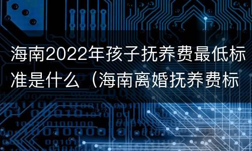 海南2022年孩子抚养费最低标准是什么（海南离婚抚养费标准）