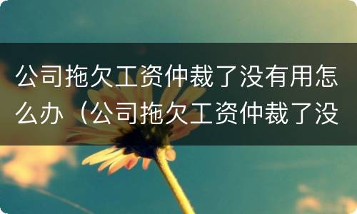 公司拖欠工资仲裁了没有用怎么办（公司拖欠工资仲裁了没有用怎么办理）