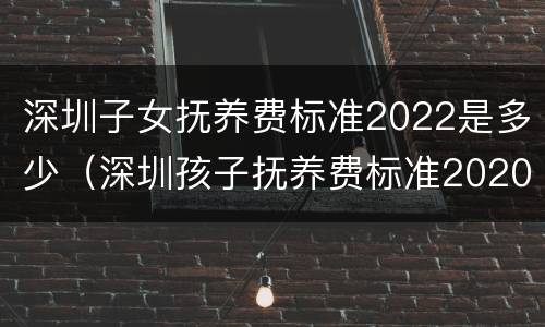 深圳子女抚养费标准2022是多少（深圳孩子抚养费标准2020）