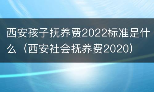 西安孩子抚养费2022标准是什么（西安社会抚养费2020）