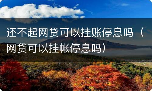 还不起网贷可以挂账停息吗（网贷可以挂帐停息吗）