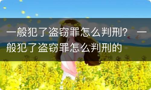 一般犯了盗窃罪怎么判刑？ 一般犯了盗窃罪怎么判刑的