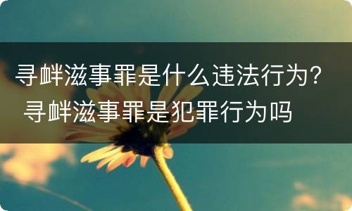 寻衅滋事罪是什么违法行为？ 寻衅滋事罪是犯罪行为吗