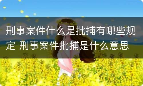 刑事案件什么是批捕有哪些规定 刑事案件批捕是什么意思