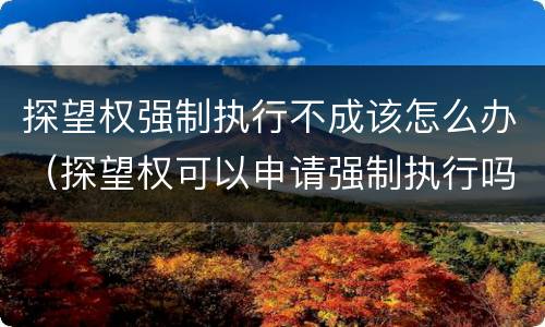 探望权强制执行不成该怎么办（探望权可以申请强制执行吗）