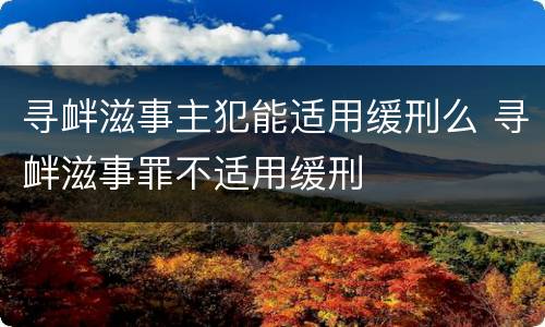 寻衅滋事主犯能适用缓刑么 寻衅滋事罪不适用缓刑