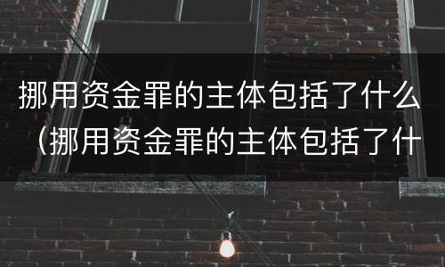 挪用资金罪的主体包括了什么（挪用资金罪的主体包括了什么行为）