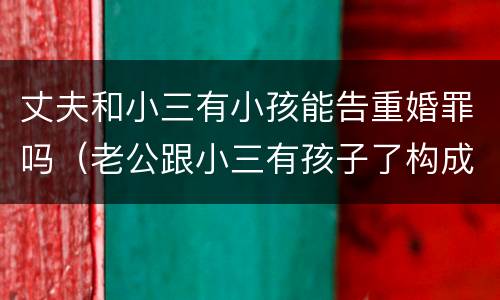 丈夫和小三有小孩能告重婚罪吗（老公跟小三有孩子了构成重婚罪吗）
