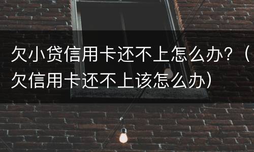 欠小贷信用卡还不上怎么办?（欠信用卡还不上该怎么办）