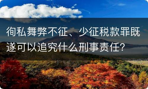 徇私舞弊不征、少征税款罪既遂可以追究什么刑事责任？
