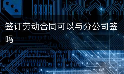 签订劳动合同可以与分公司签吗