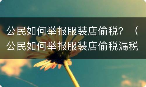 公民如何举报服装店偷税？（公民如何举报服装店偷税漏税行为）