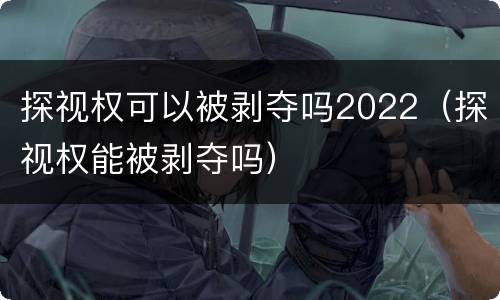探视权可以被剥夺吗2022（探视权能被剥夺吗）