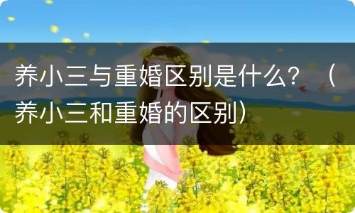 养小三与重婚区别是什么？（养小三和重婚的区别）