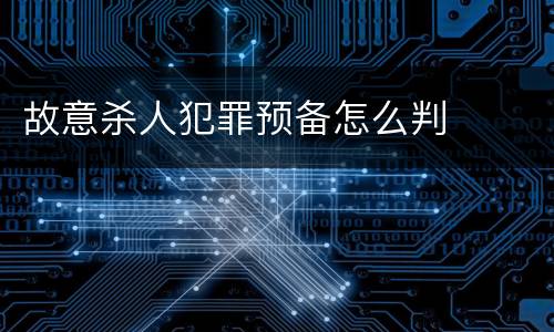 故意杀人犯罪预备怎么判